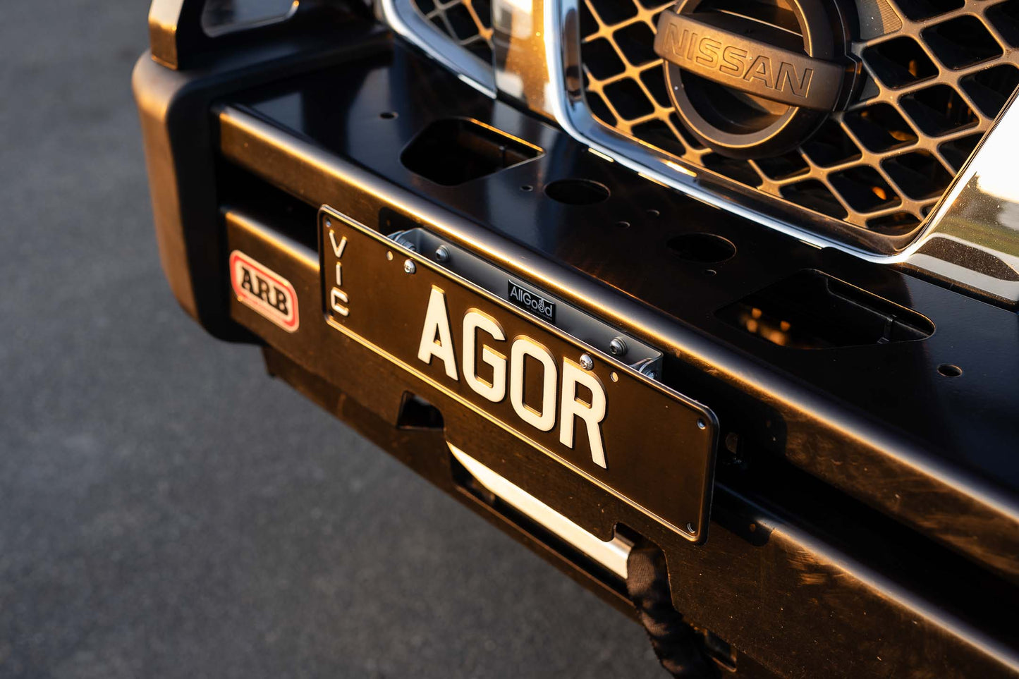 Hinged Number Plate Mount