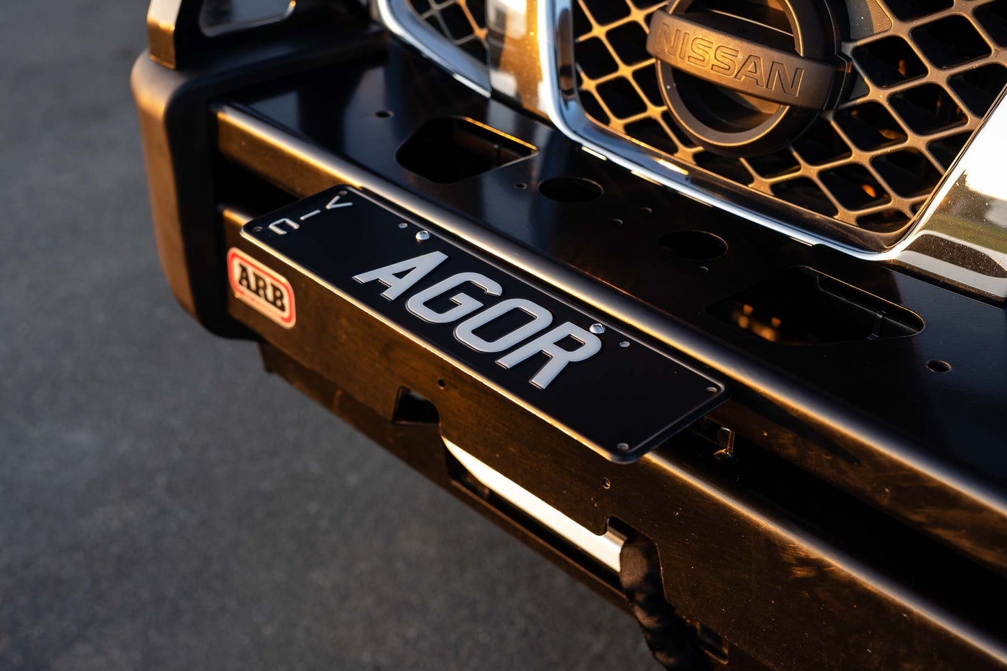 Hinged Number Plate Mount